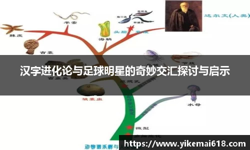 汉字进化论与足球明星的奇妙交汇探讨与启示